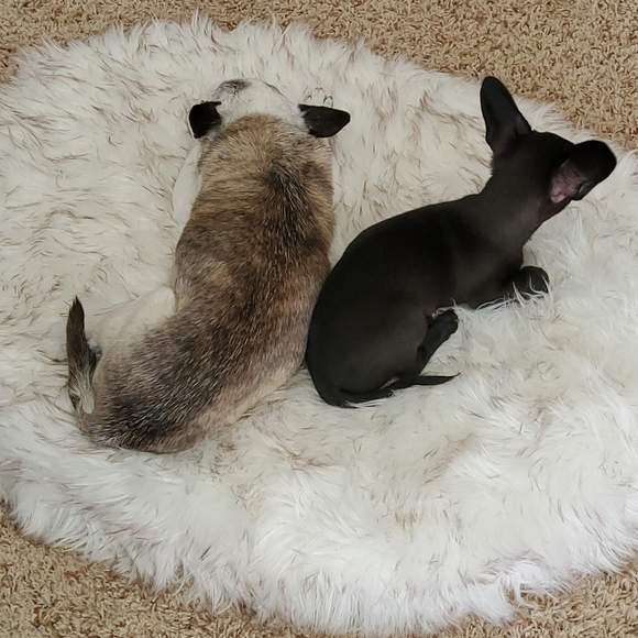 Meet your Posher, Jess - Picture 2 of 2